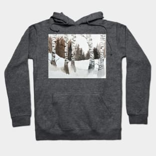 Wintry Birch Hoodie